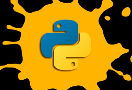 mari-python_logo